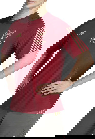 Фланелка adidas Originals Arsenal Tiro 23 Бургунди | ij7788, 0