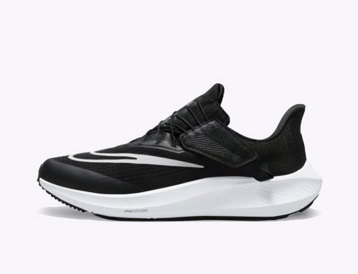 Air Zoom Pegasus 39 FlyEase W