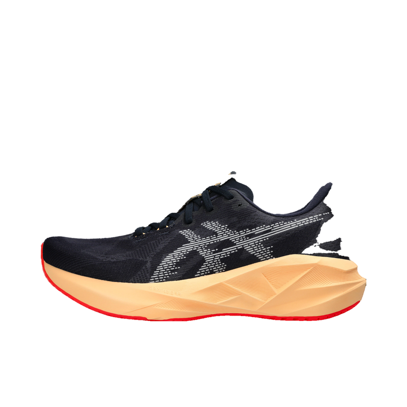 Кецове и обувки Asics NOVABLAST 5 Черно | 1011b974-404