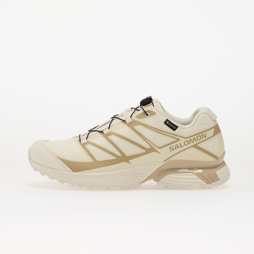 Кецове и обувки Salomon XT-Pathway Gtx Бежово | L47861800