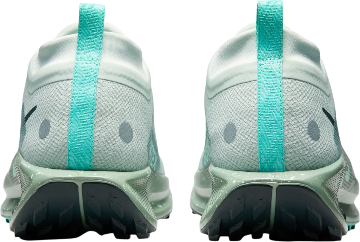 Кецове и обувки Nike Pegasus Trail 5 GORE-TEX Зелено | fq0908-013, 1