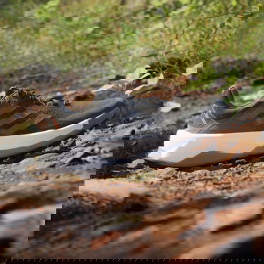 Кецове и обувки adidas Performance Terrex Soulstride Ultra Черно | IE8456, 3