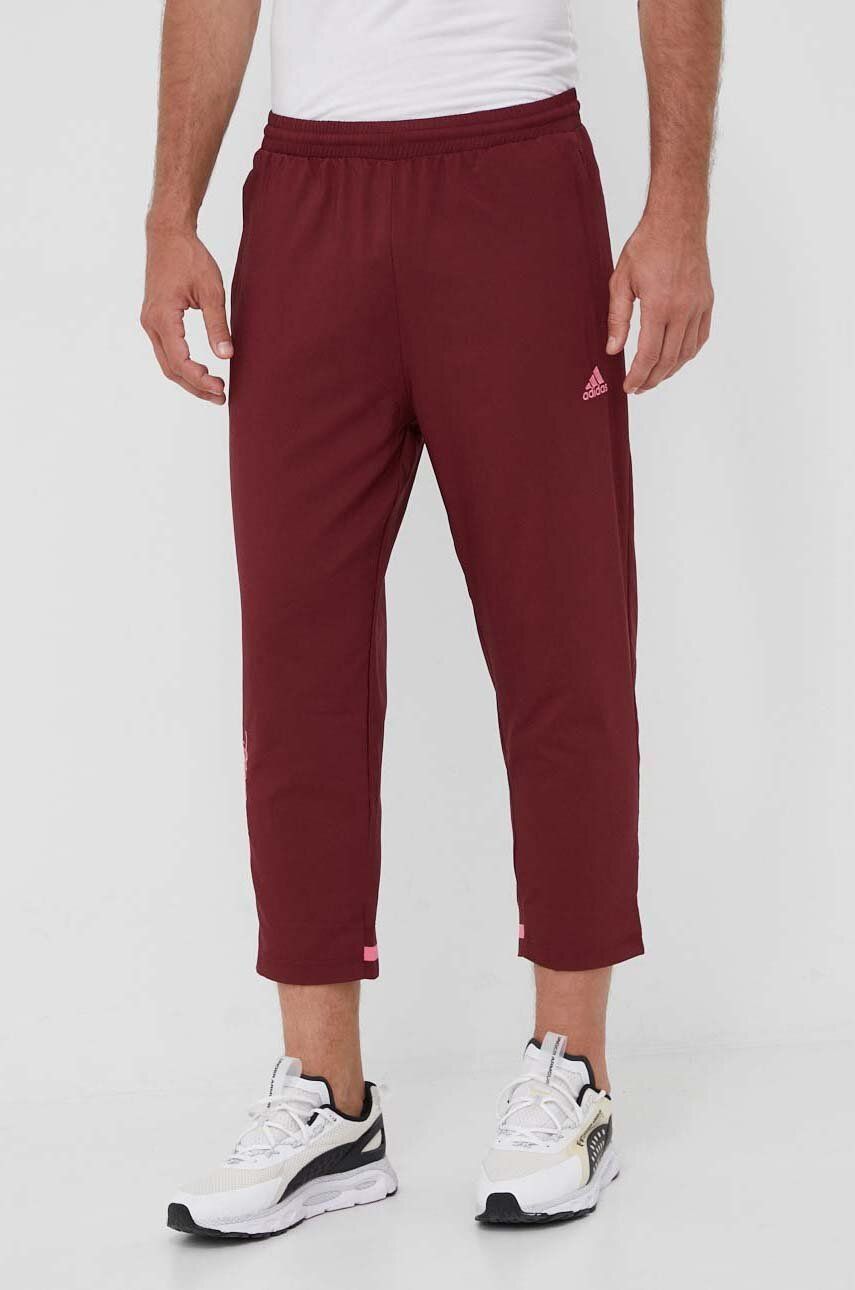 Спортни панталони adidas Originals Scribble Joggers Бургунди | HY1289, 0
