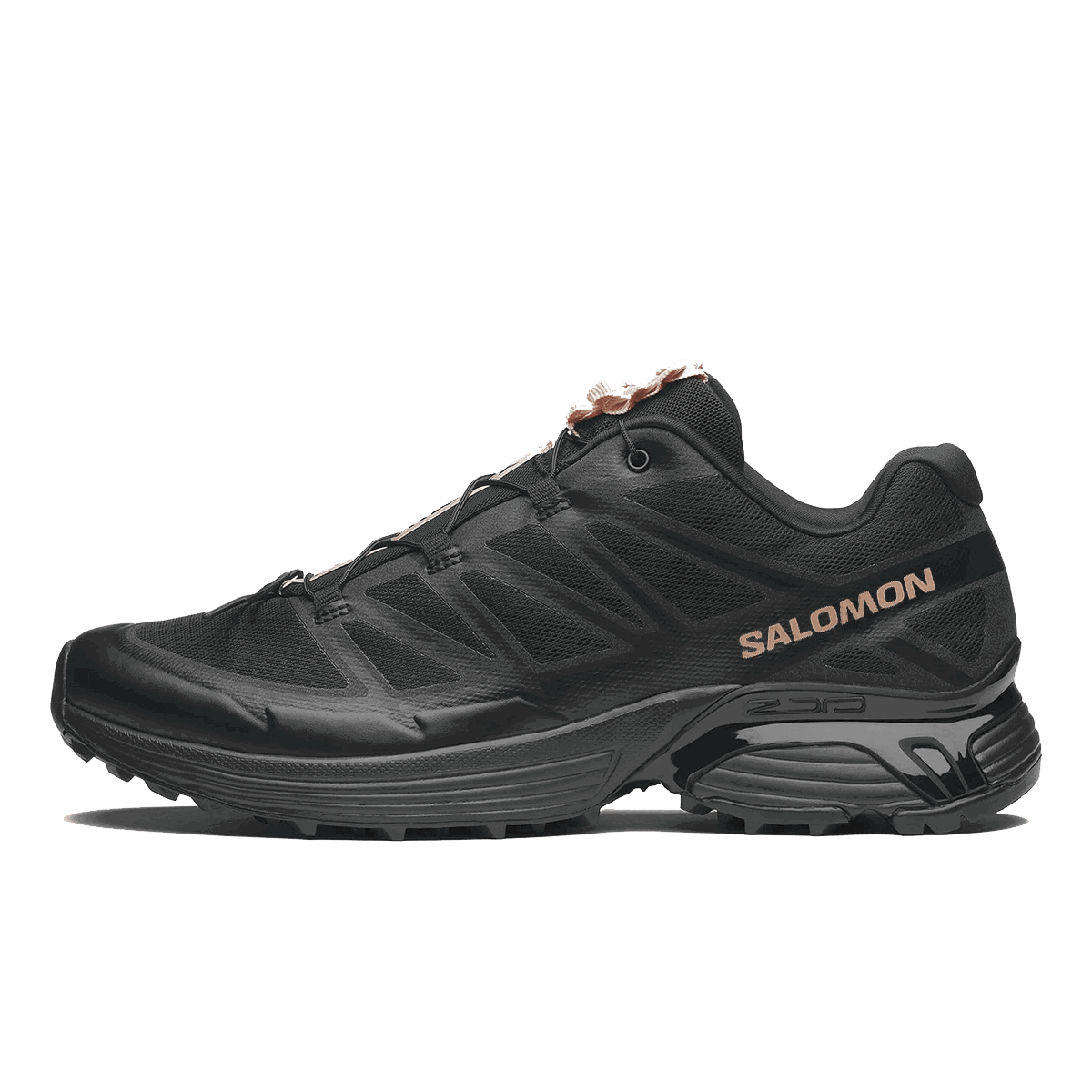 Кецове и обувки Salomon XT-PATHWAY 2 Черно | L47795000, 0
