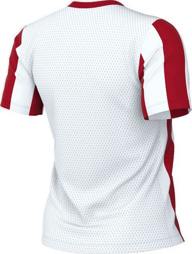 Фланелка Nike Nike Striped Division V Jersey Червено | fz9339-104, 1