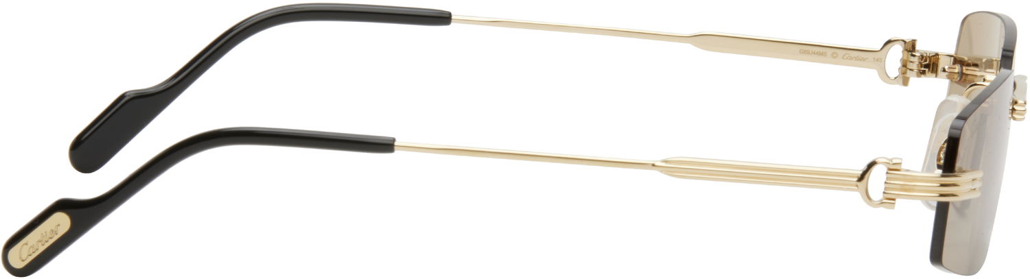 Слънчеви очила Cartier Cartier 'Première de Cartier' Sunglasses undefined | CT0535S-003, 1