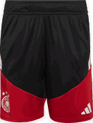 Germany Tiro 26 Training Shorts