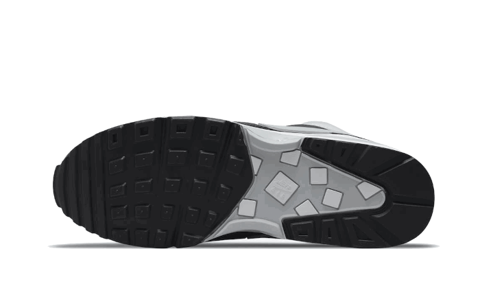 Кецове и обувки Nike Air Max BW ''Lyon'' Сиво | DM6445-001, 1