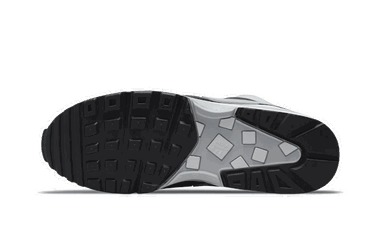 Кецове и обувки Nike Air Max BW ''Lyon'' Сиво | DM6445-001, 1