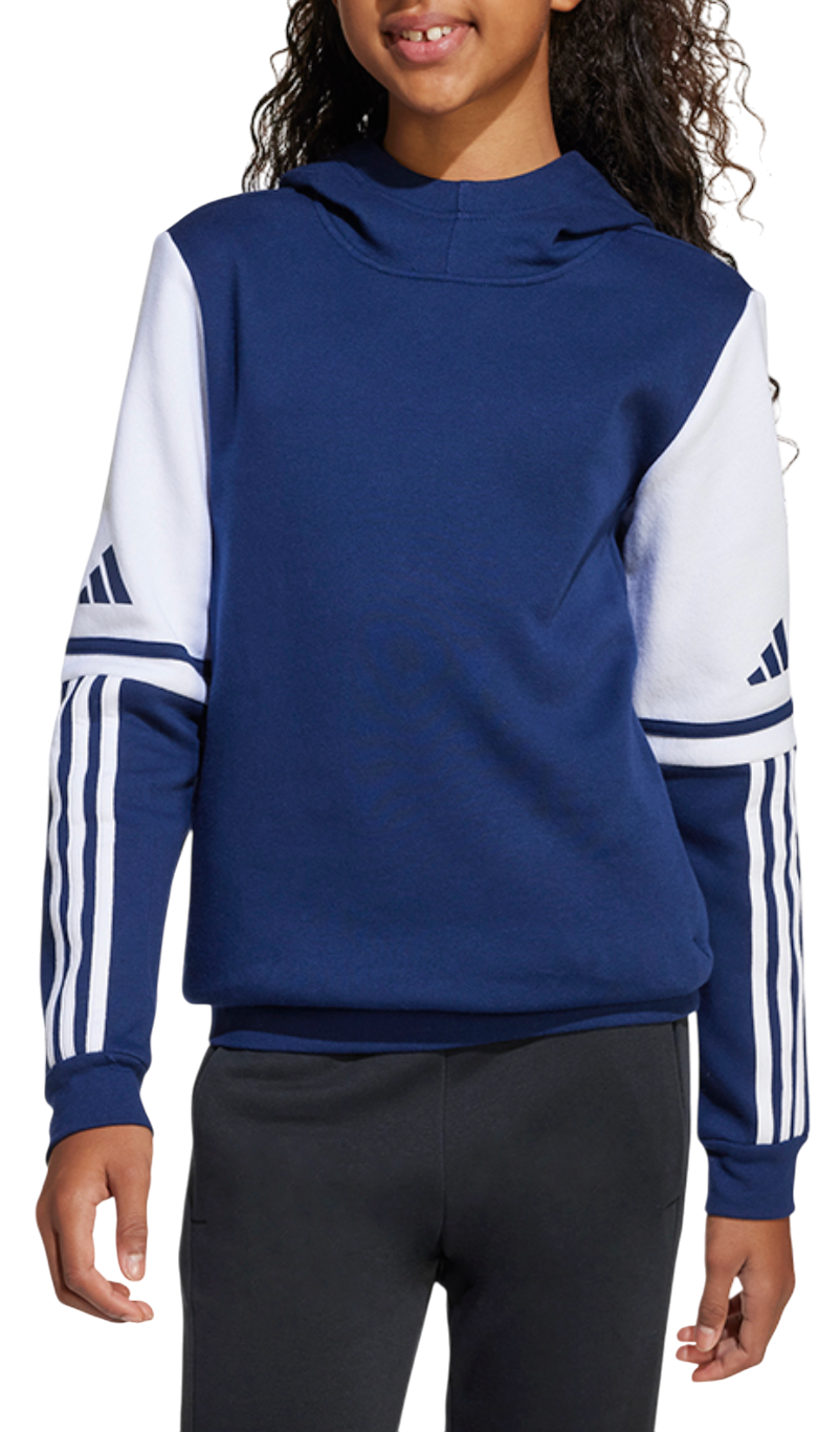 Суитчър adidas Originals SQ25 SW HOOD Y Hoodie Синьо | jd4804, 1