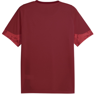 Фланелка Puma Galatasaray Istanbul Patterned DRYCELL Training Jersey Бургунди | 949105-003, 1
