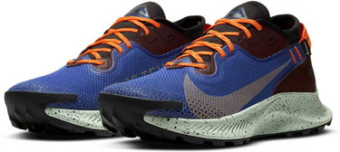 Кецове и обувки Nike Pegasus Trail 2 GTX Синьо | cu2016-600, 4