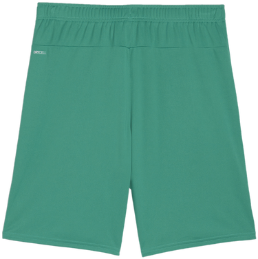 Къси панталони Puma teamGOAL Shorts Зелено | 705752-05, 1