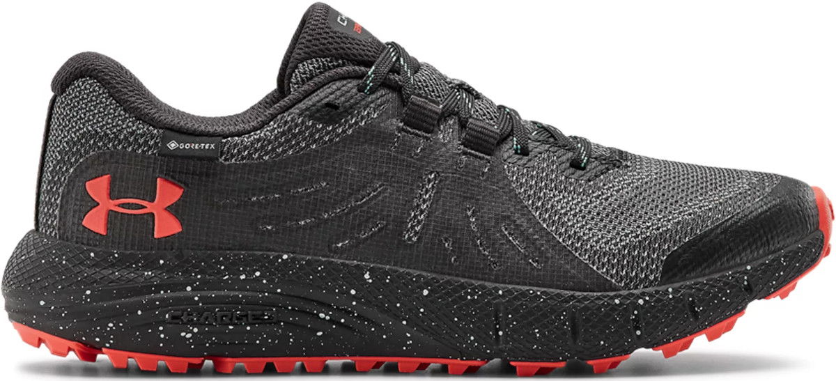 Кецове и обувки Under Armour Charged Bandit Trail GTX W Сиво | 3022786-101, 0