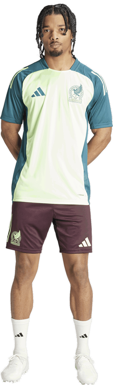 Къси панталони adidas Originals Mexico 2024 Tiro Training Shorts Бургунди | ip6339, 4