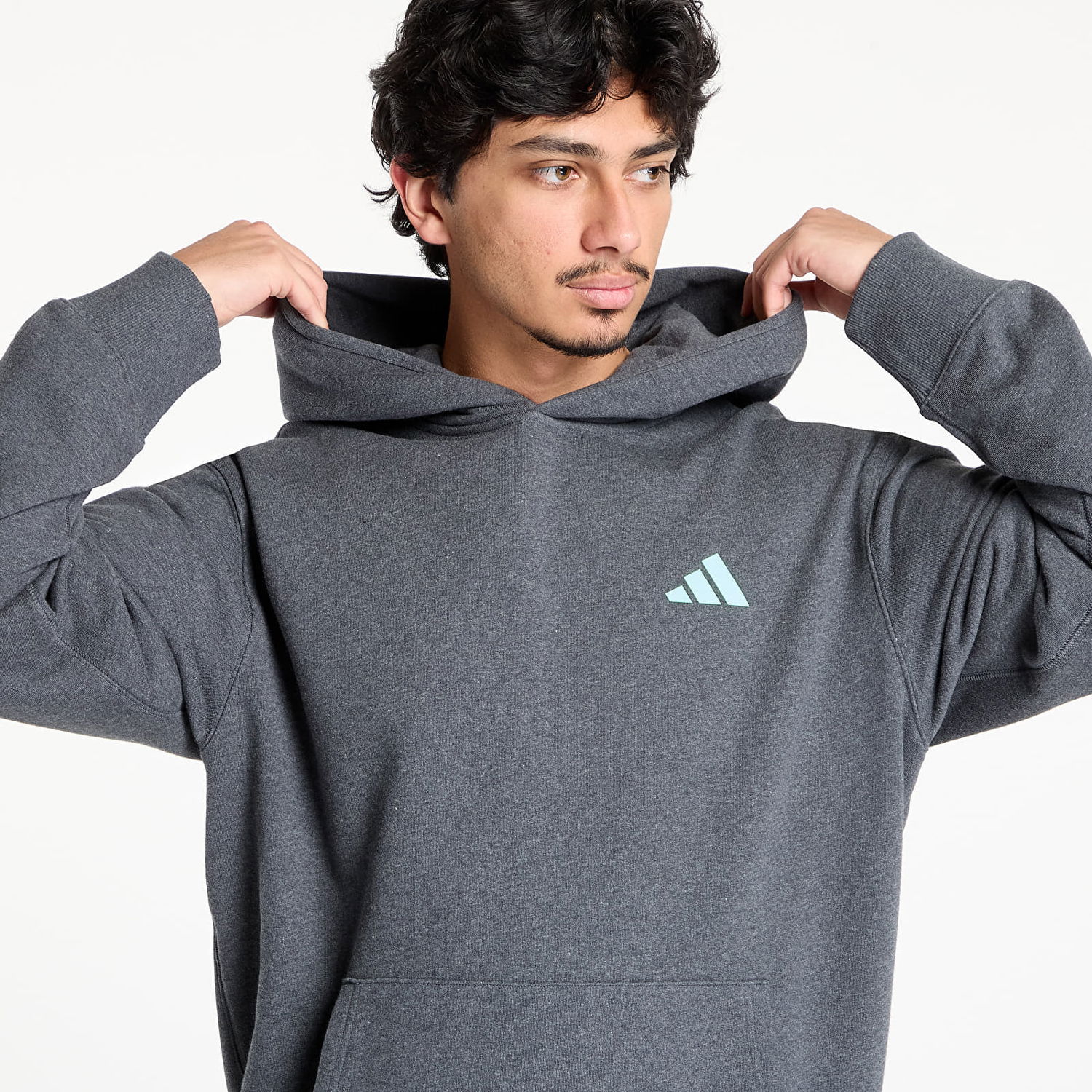 Суитчър adidas Performance Mercedes-AMG Petronas Formula One Team Premium Hoodie Сиво | JX8778, 1