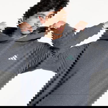 Суитчър adidas Performance Mercedes-AMG Petronas Formula One Team Premium Hoodie Сиво | JX8778, 1