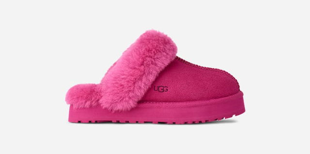 Disquette Slipper