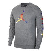 Jordan Athleisure Knit Pullover