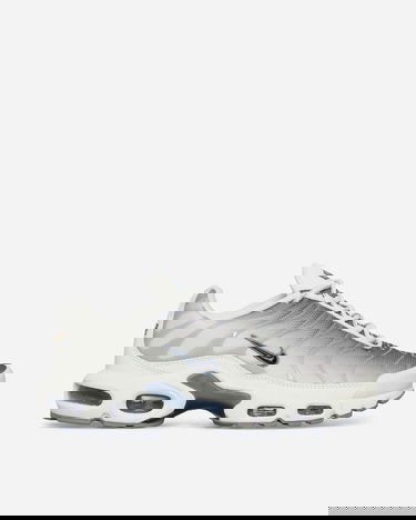 Кецове и обувки Nike Air Max Plus "Sail Grey" Сиво | FQ2892-100, 2