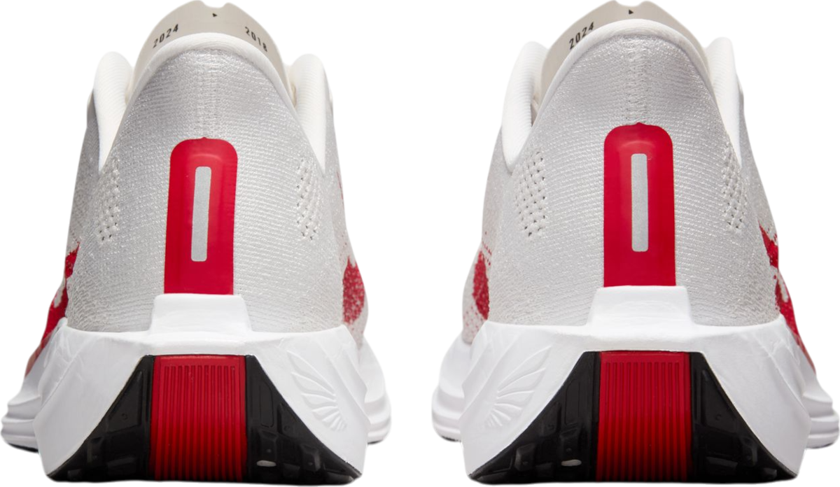 Кецове и обувки Nike Pegasus Plus Бяло | fq7262-003, 1