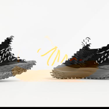 Кецове и обувки Nike ACG Mountain Fly Low Кафяво | DA5424-200, 1