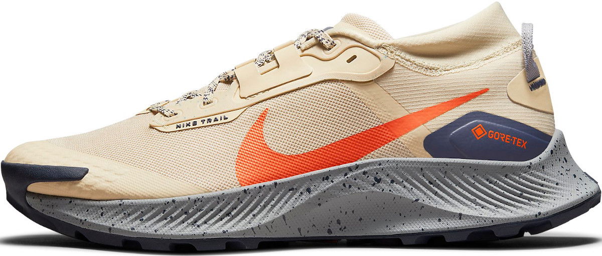 Кецове и обувки Nike Pegasus Trail 3 GTX Кафяво | dc8793-200, 0