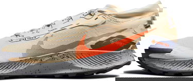 Кецове и обувки Nike Pegasus Trail 3 GTX Кафяво | dc8793-200, 0