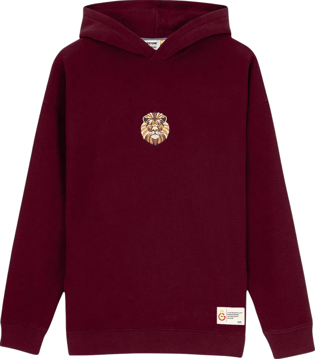 GSSTORE X Reflect Studio Lion Hoody