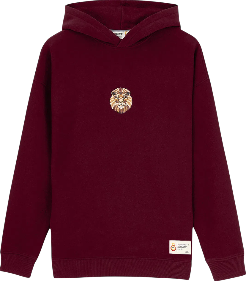 Суитчър Puma GSSTORE X Reflect Studio Lion Hoody Бургунди | e242400-100