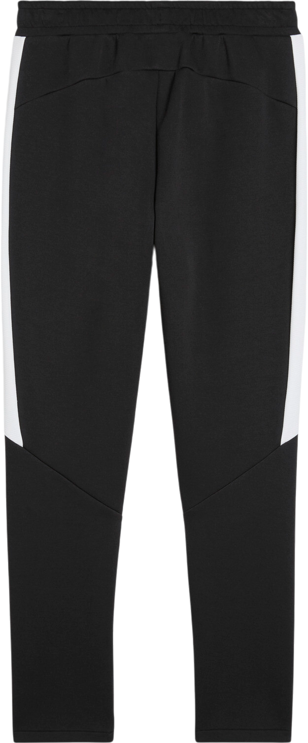 Спортни панталони Puma Puma teamEVOSTRIPE Pants Черно | 659948-03, 1