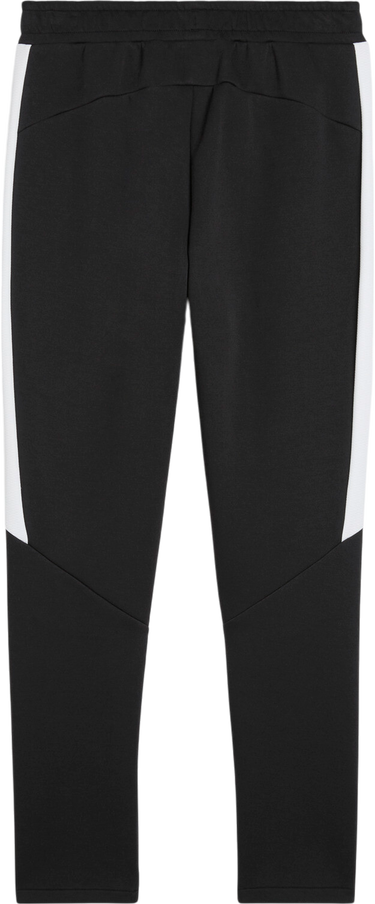 Спортни панталони Puma Puma teamEVOSTRIPE Pants Черно | 659948-03, 1