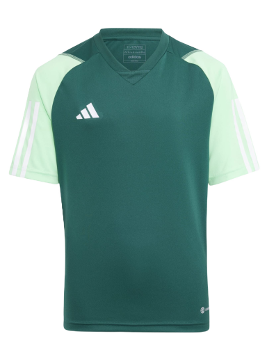 Фланелка adidas Originals Tiro 23 Competition Jersey Зелено | hu1300