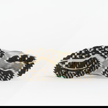 Кецове и обувки Mizuno Wave Rider 10 Сиво | D1GA247107, 1