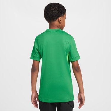 Фланелка Nike England 2025/26 Stadium Replica Dri-FIT Goalkeeper Soccer Jersey Зелено | IF3959-310, 2