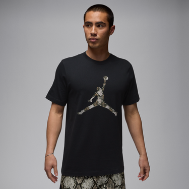 Тениска Jordan Jordan Sport Dri-FIT T-Shirt Черно | HJ2862-011, 0