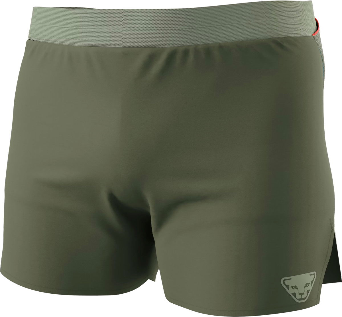 Къси панталони Dynafit SKY Shorts Зелено | 08-0000071653-5561, 1