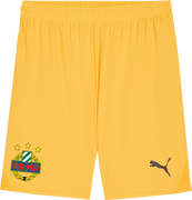 SK Rapid Wien Goalkeeper Shorts 2024/2025 by Puma