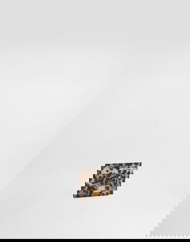 Портфейл Dolce & Gabbana Dauphine Leopard Print Card Holder With Plate Многоцветен | BI0330AX566HY13M, 1