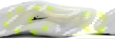 Кецове и обувки Nike LEGEND 10 ELITE FG Металик | dv4328-001, 1