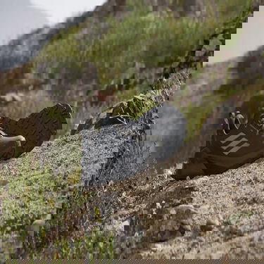 Кецове и обувки adidas Performance adidas TERREX TRAILMAKER 2 GORE-TEX Черно | IE5144, 2