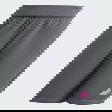 Къси панталони adidas Performance Germany Travel Сиво | IU2099, 3