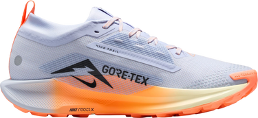 Кецове и обувки Nike Pegasus Trail 5 GORE-TEX Многоцветен | fq0908-011, 3