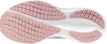 Кецове и обувки Mizuno Mizuno Wave Rider 29 Синьо | j1gd2503-25, 5