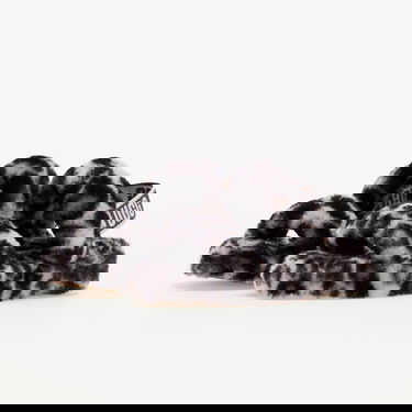Кецове и обувки UGG Oh Yeah "Panther Print Stormy Grey" W Многоцветен | 1120920-SYGR, 5