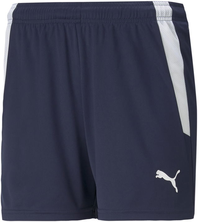 teamLIGA Training Shorts