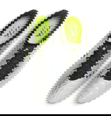 Кецове и обувки Nike LEGEND 10 ELITE FG Металик | dv4328-001, 3