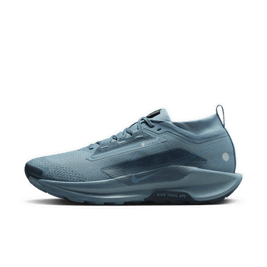 Кецове и обувки Nike Pegasus Trail 5 GORE-TEX Синьо | FQ0908-005, 0