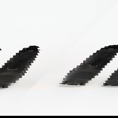 Кецове и обувки adidas Performance Terrex Skychaser Черно | JH6384, 4