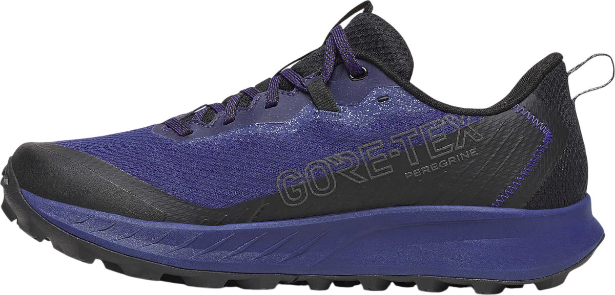 Кецове и обувки Saucony PEREGRINE 15 GTX Лилаво | s20992-262, 1